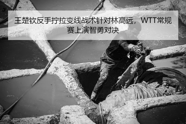 王楚钦反手拧拉变线战术针对林高远，WTT常规赛上演智勇对决