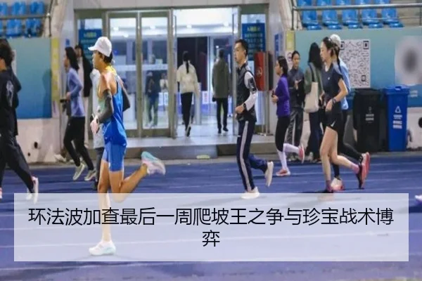 huan-fa-bo-jia-cha-zui-hou-yi-zhou-pa-po-wang-zhi-zheng-yu-zhen-bao-zhan-shu-bo-yi-2-640.jpg